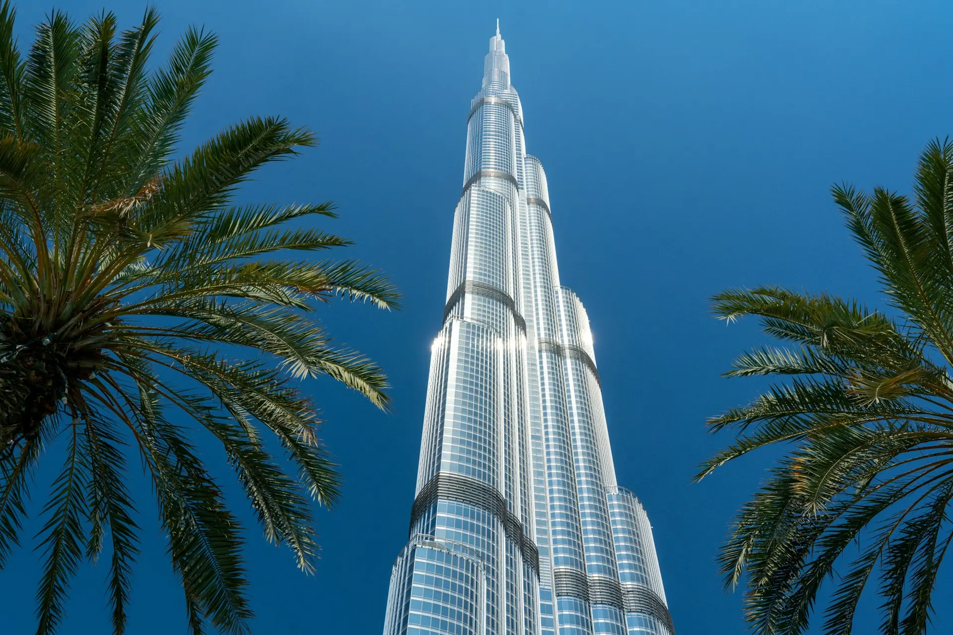 Burj Khalifa framed by palm trees in Dubai